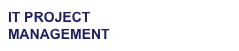 IT project 
management