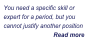 You need a specific skill or expert for a period, but you cannot justify another position
Read more